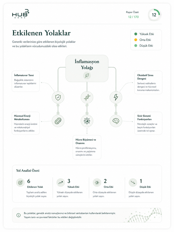 Etkilenen Yolaklar
